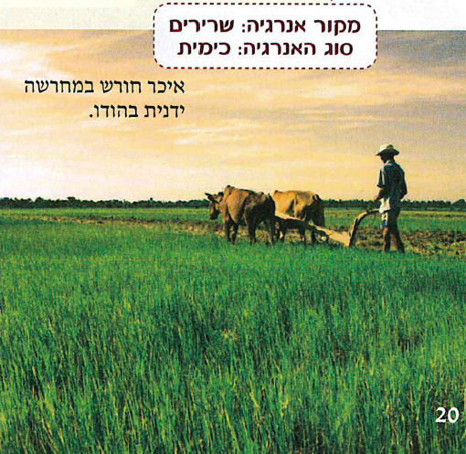 (בספר שתי תמונות:)